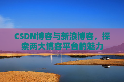 CSDN博客与新浪博客,探索两大博客平台的魅力